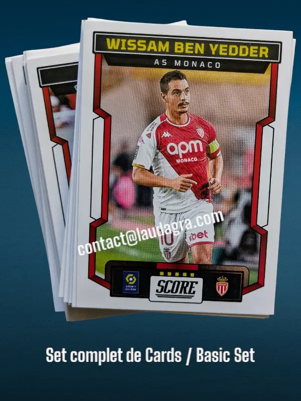 LIGUE 1 PANINI SCORE 2023/2024 - BASIC SET