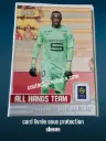 Steve Mandanda N° 9/ All Hands Team  