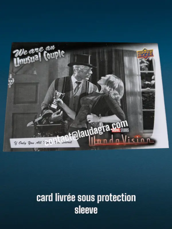 If Only You All Knew Our Secret Wandavision Card N° WV-14