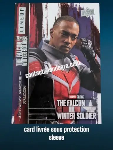 [FALCON_LU-1] Anthony Mackie as Falcon The Falcon and The Winter Soldier Card N° LU-1