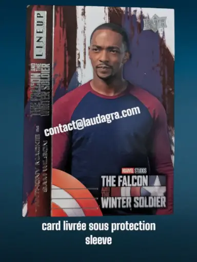 [FALCON_LU-13] Anthony Mackie as Sam Wilson The Falcon and The Winter Soldier Card N° LU-13
