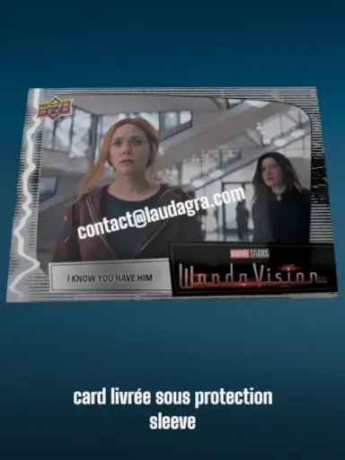 [WANDAVIS_71] I Know You Have Him Wandavision Card N° 71